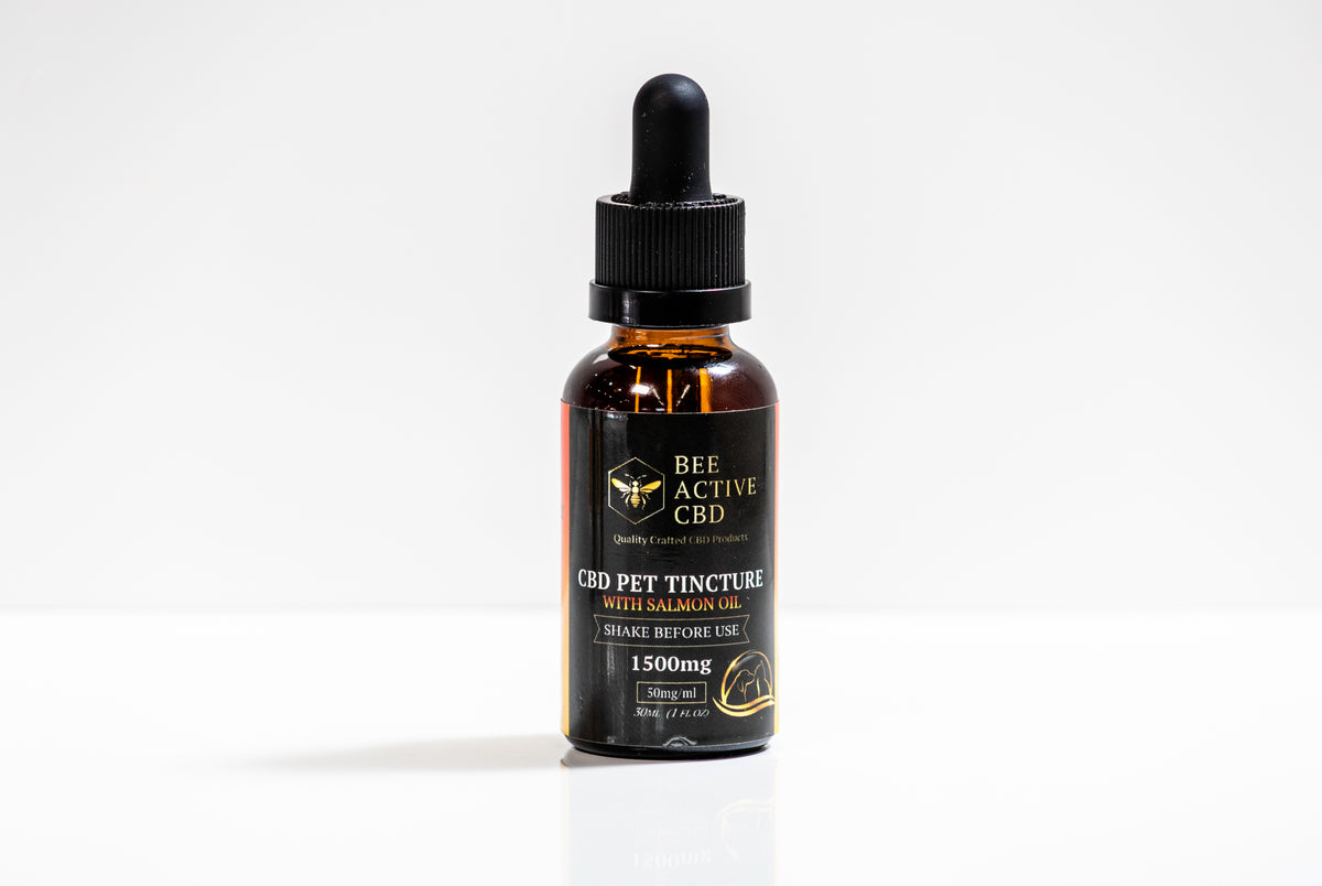 Bee Active CBD Pet Tincture – Salmon Flavor