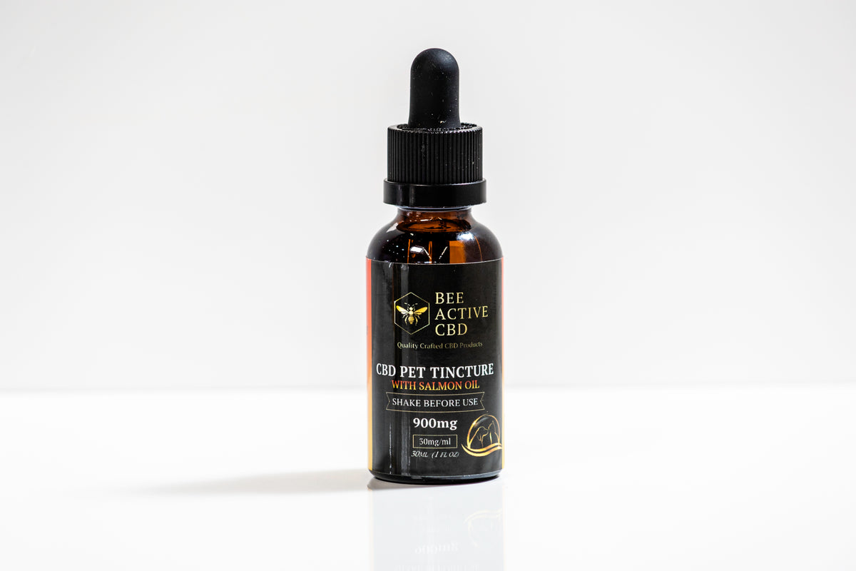 Bee Active CBD Pet Tincture – Salmon Flavor