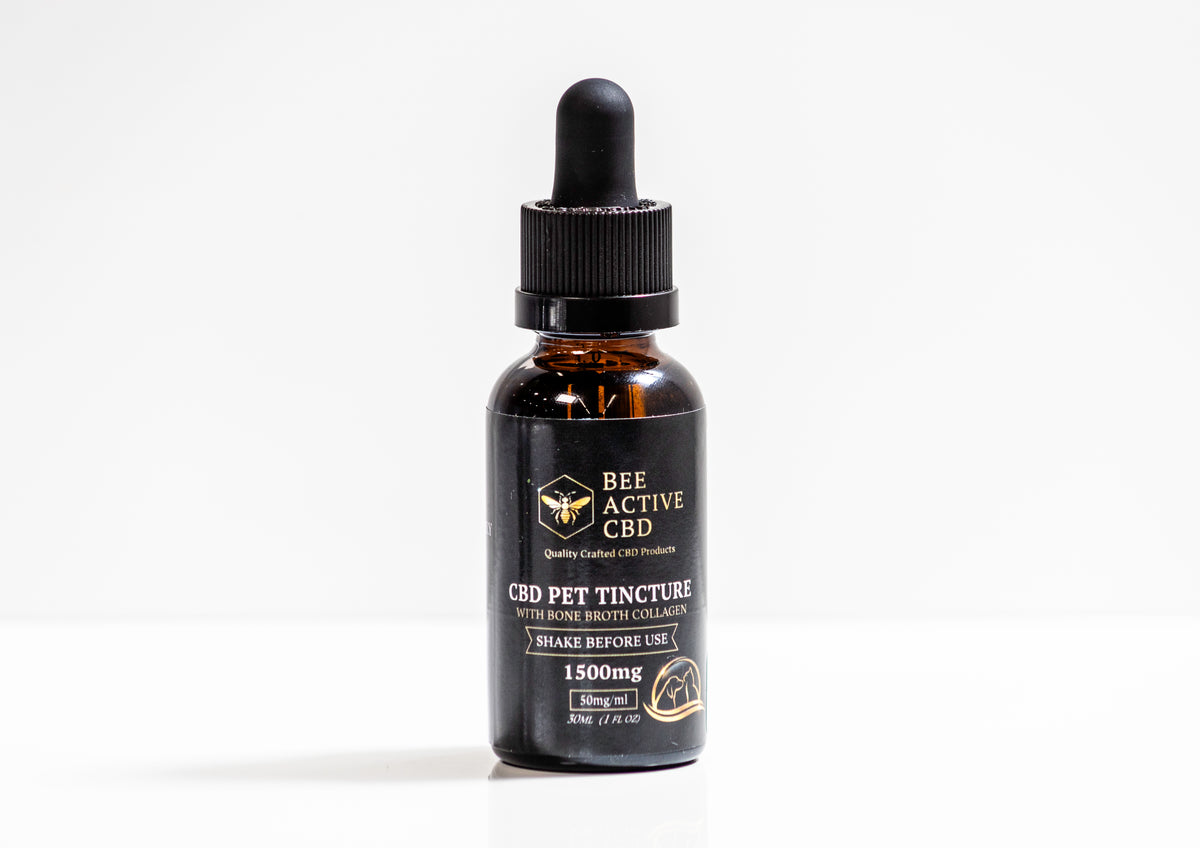 Bee Active CBD Pet Tincture – Bone Broth Flavor