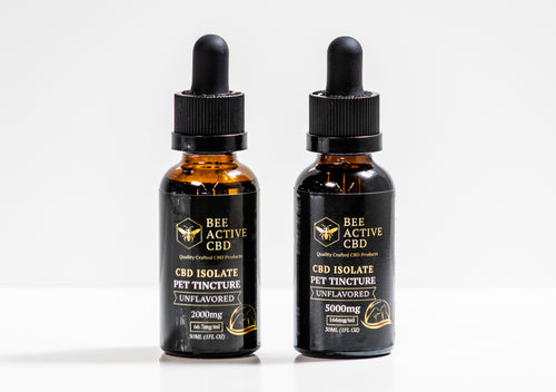 Bee Active CBD Pet Tincture – Unflavored-0