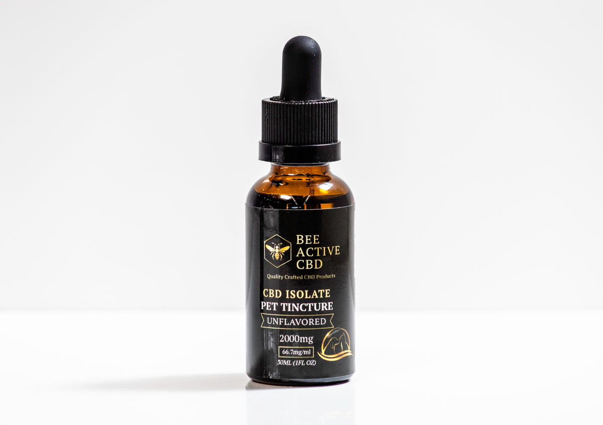 Bee Active CBD Pet Tincture – Unflavored-1